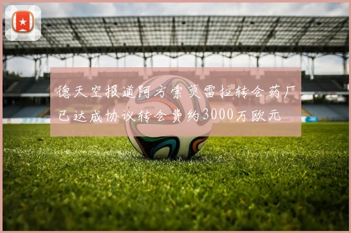 德天空报道阿方索莫雷拉转会药厂已达成协议转会费约3000万欧元